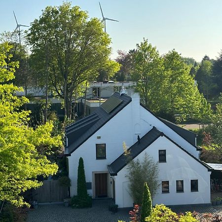 Nummer 151 Villastudios Hasselt Exteriör bild