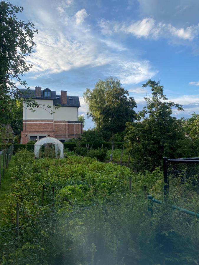 Nummer 151 Villastudios Hasselt Exteriör bild