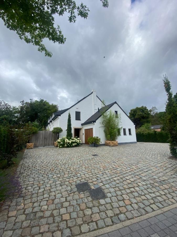 Nummer 151 Villastudios Hasselt Exteriör bild