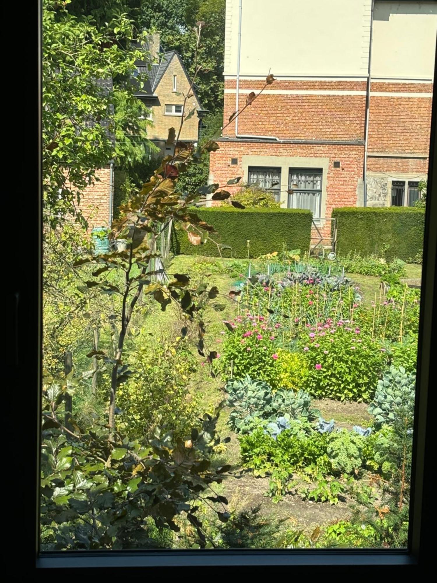 Nummer 151 Villastudios Hasselt Exteriör bild