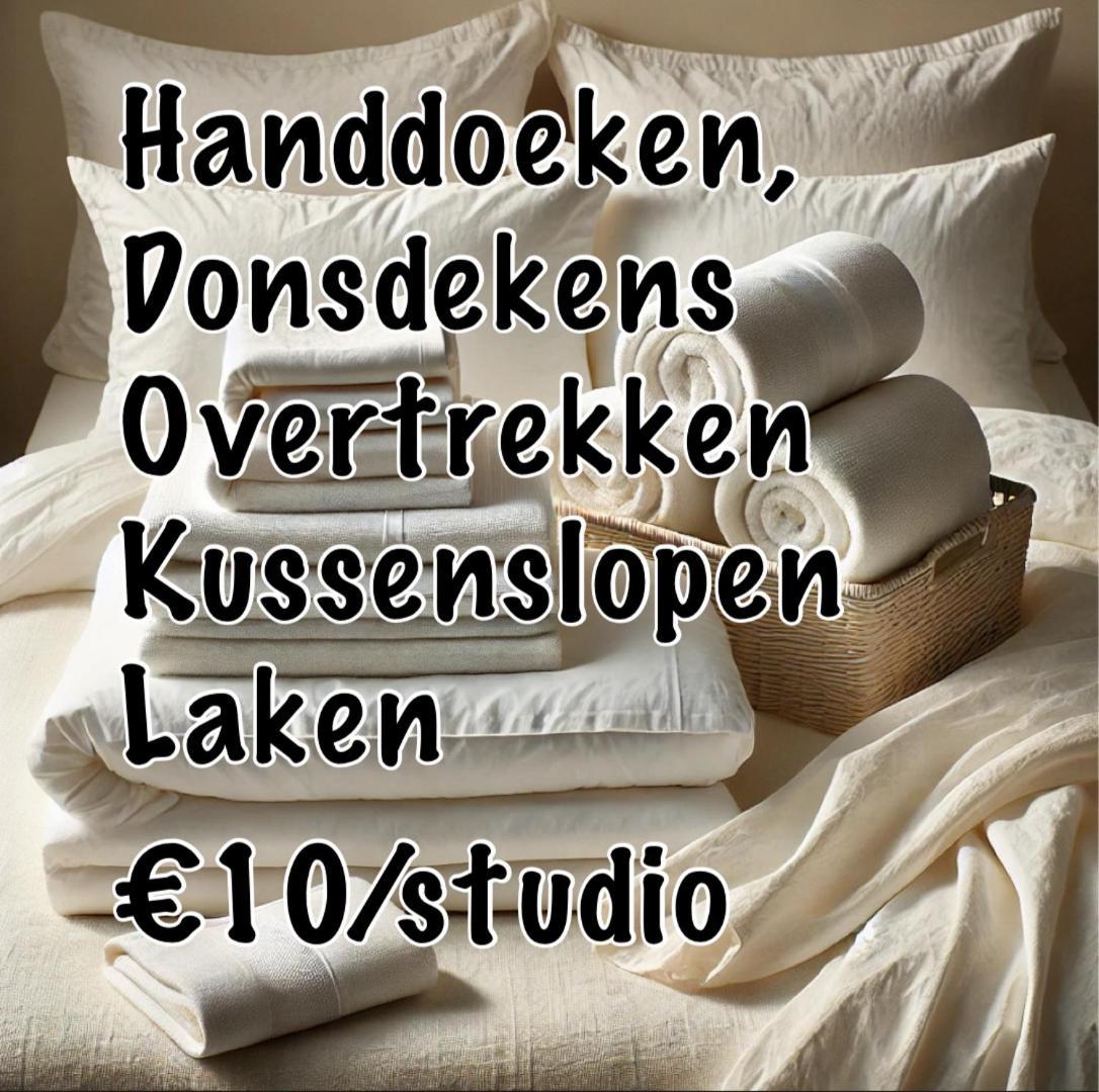 Nummer 151 Villastudios Hasselt Exteriör bild