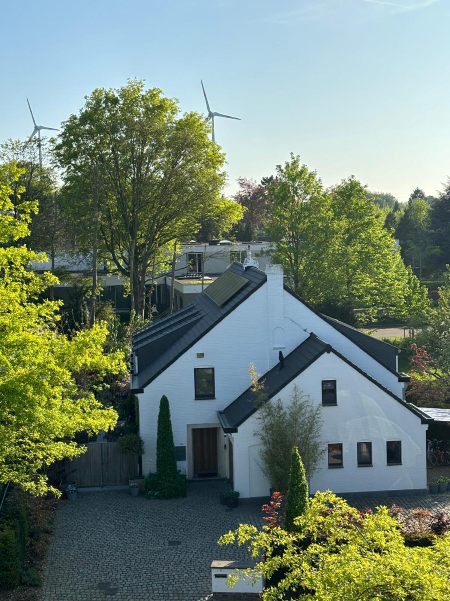 Nummer 151 Villastudios Hasselt Exteriör bild